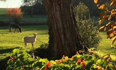 Séjour vacances sportives gîte campagne proche de paris