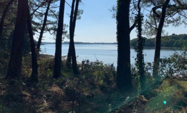 Bretagne - Ile vierge - falaise forêt et océan - 960x640